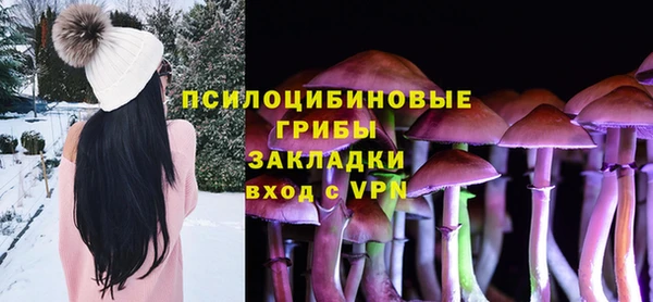 скорость Ладушкин